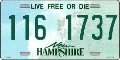 NH license plate 1161737
