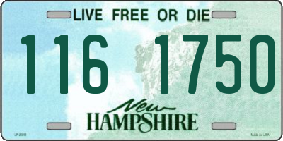 NH license plate 1161750