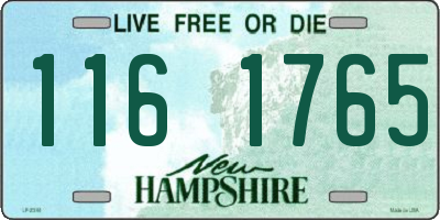 NH license plate 1161765
