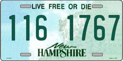 NH license plate 1161767