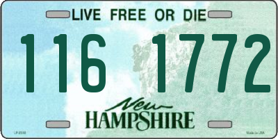 NH license plate 1161772