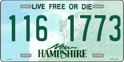 NH license plate 1161773