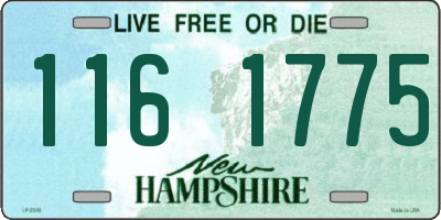 NH license plate 1161775