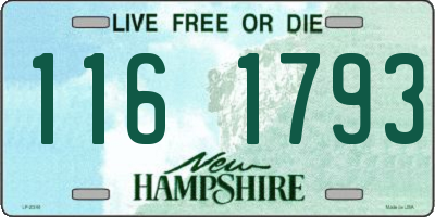 NH license plate 1161793