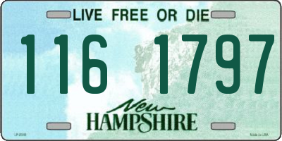 NH license plate 1161797