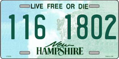 NH license plate 1161802