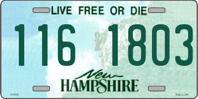 NH license plate 1161803
