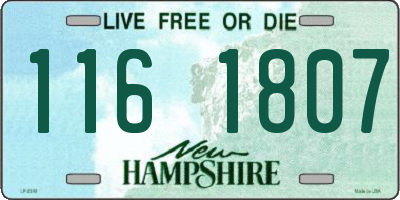NH license plate 1161807