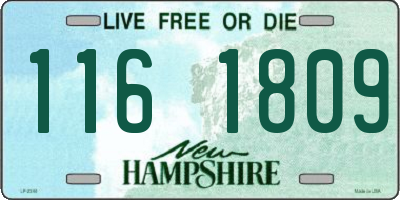 NH license plate 1161809