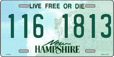 NH license plate 1161813