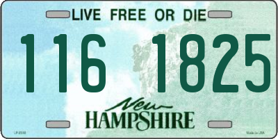 NH license plate 1161825