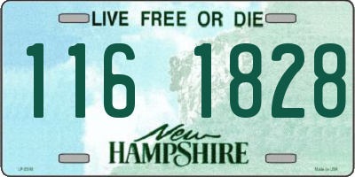 NH license plate 1161828
