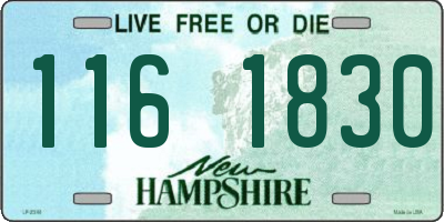 NH license plate 1161830