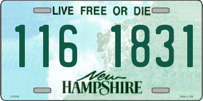 NH license plate 1161831