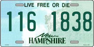 NH license plate 1161838