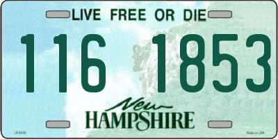 NH license plate 1161853