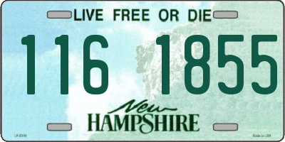 NH license plate 1161855