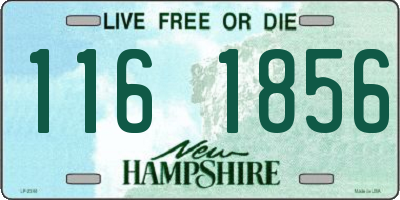 NH license plate 1161856