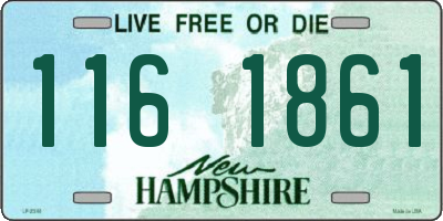 NH license plate 1161861