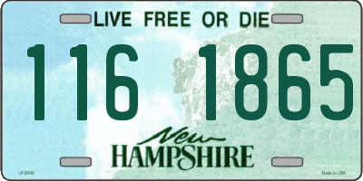 NH license plate 1161865