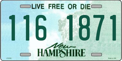 NH license plate 1161871