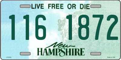 NH license plate 1161872