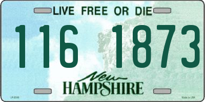 NH license plate 1161873
