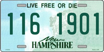 NH license plate 1161901