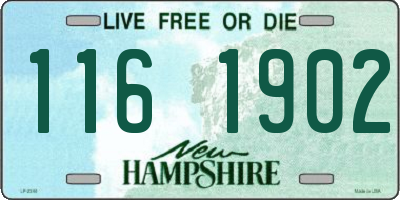 NH license plate 1161902