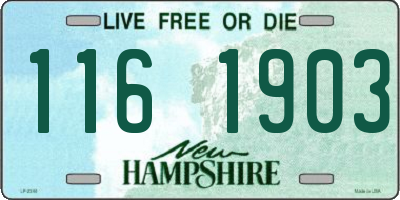NH license plate 1161903