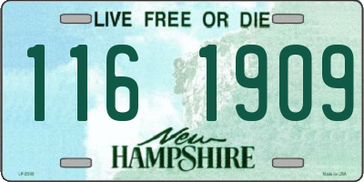 NH license plate 1161909