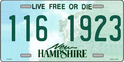 NH license plate 1161923