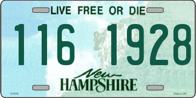 NH license plate 1161928