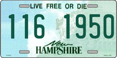 NH license plate 1161950