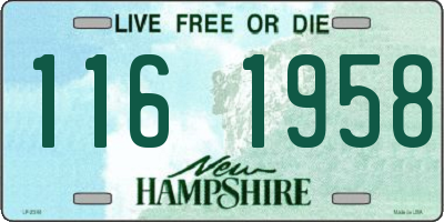 NH license plate 1161958