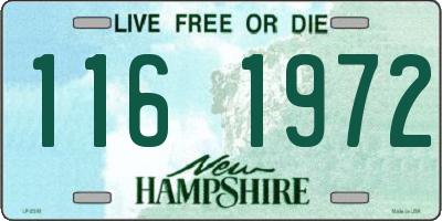 NH license plate 1161972