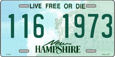 NH license plate 1161973