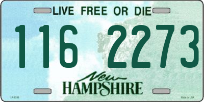 NH license plate 1162273
