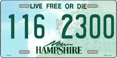 NH license plate 1162300