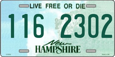 NH license plate 1162302