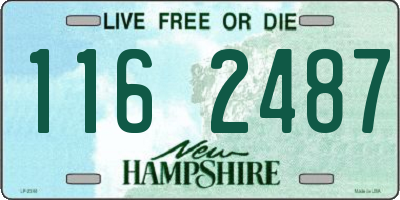 NH license plate 1162487