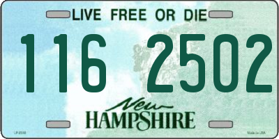 NH license plate 1162502