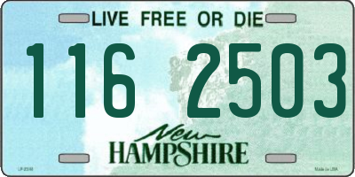 NH license plate 1162503
