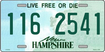 NH license plate 1162541