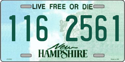 NH license plate 1162561