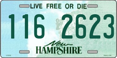 NH license plate 1162623