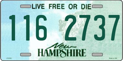 NH license plate 1162737