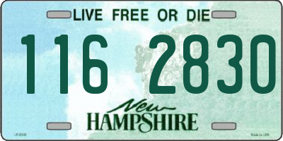 NH license plate 1162830