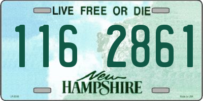 NH license plate 1162861