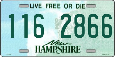 NH license plate 1162866